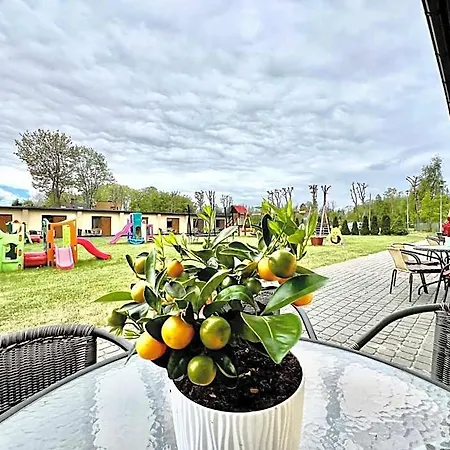 Hotel Do Wynajecia 