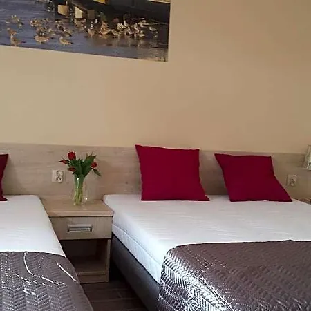 Hotel Do Wynajecia 